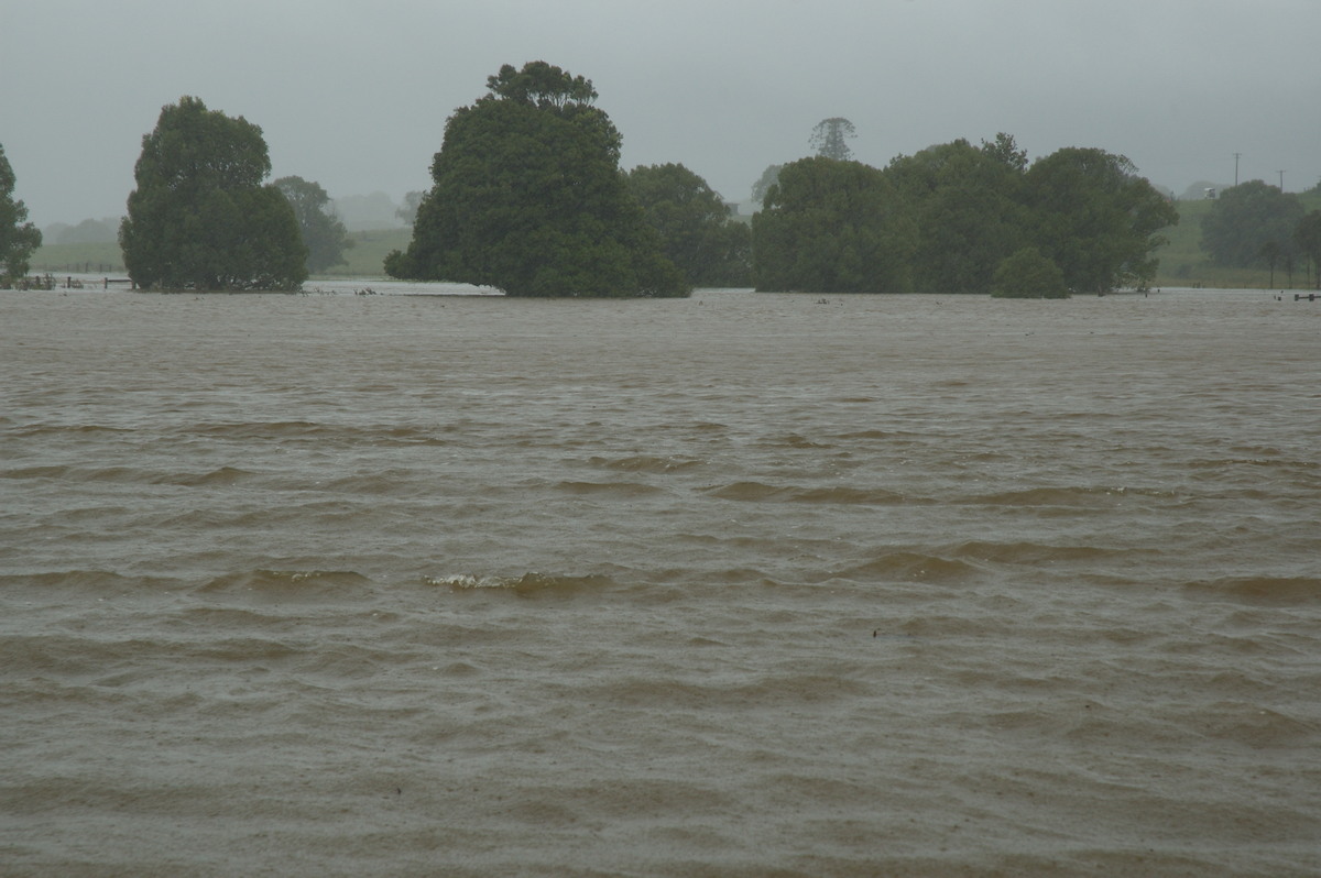 flashflooding flood_pictures : Eltham, NSW   4 January 2008