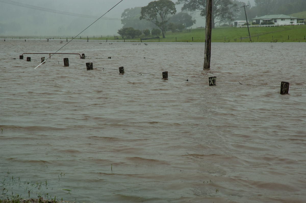 flashflooding flood_pictures : Eltham, NSW   4 January 2008