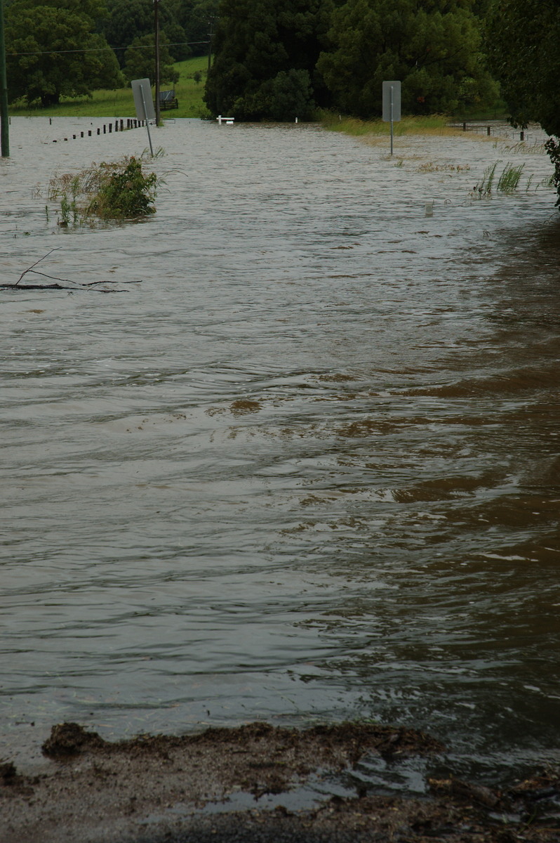 flashflooding flood_pictures : Eltham, NSW   4 January 2008