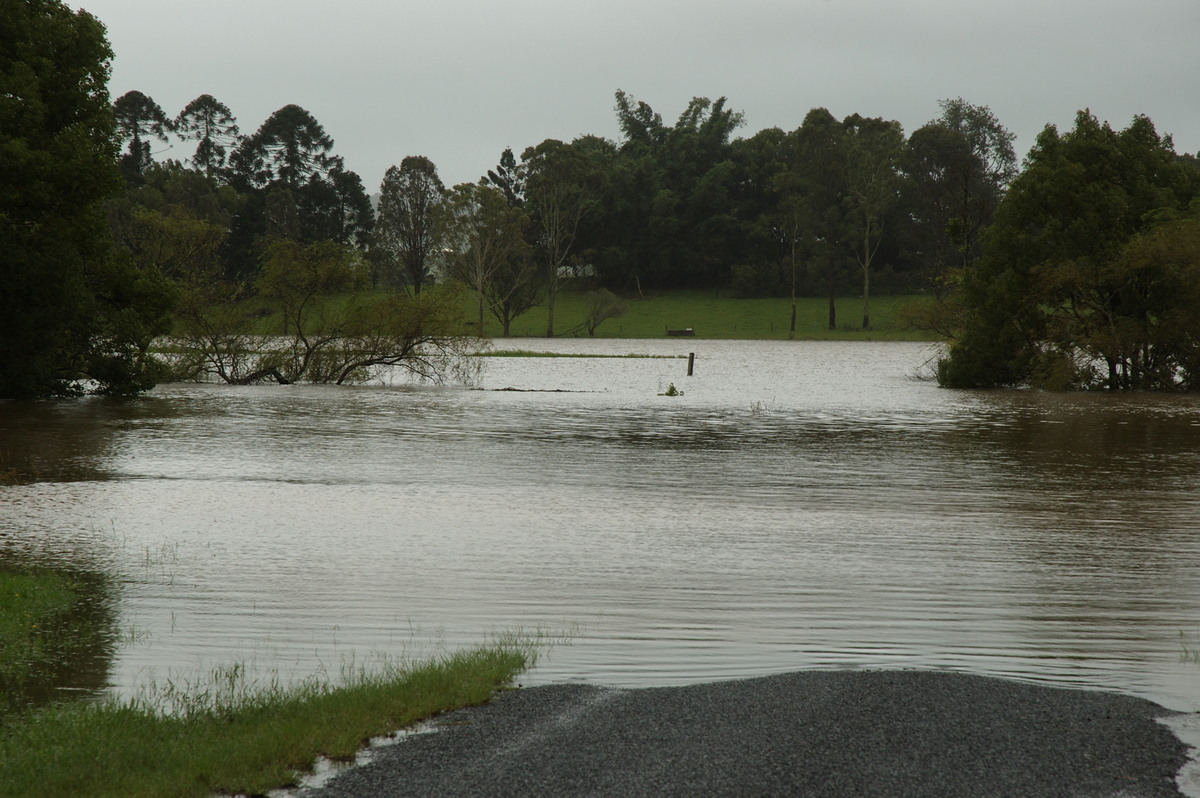 flashflooding flood_pictures : Eltham, NSW   4 January 2008