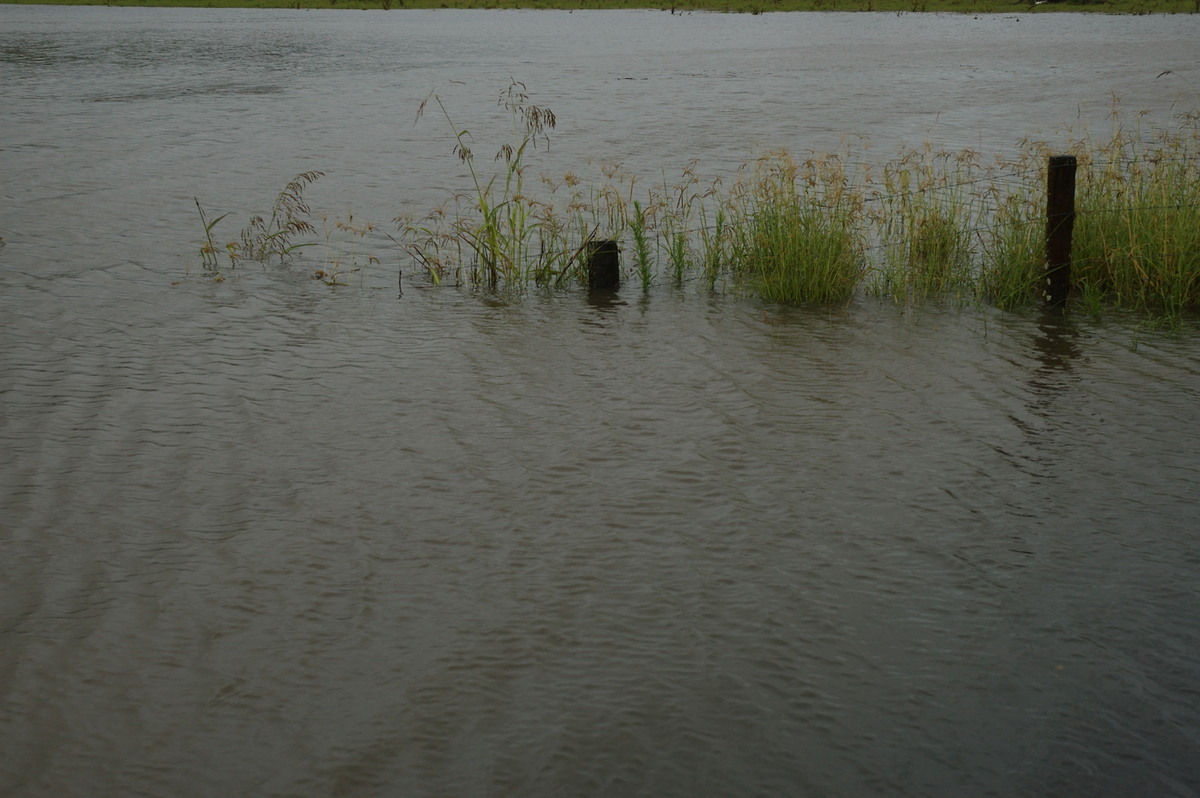 flashflooding flood_pictures : near Lismore, NSW   4 January 2008