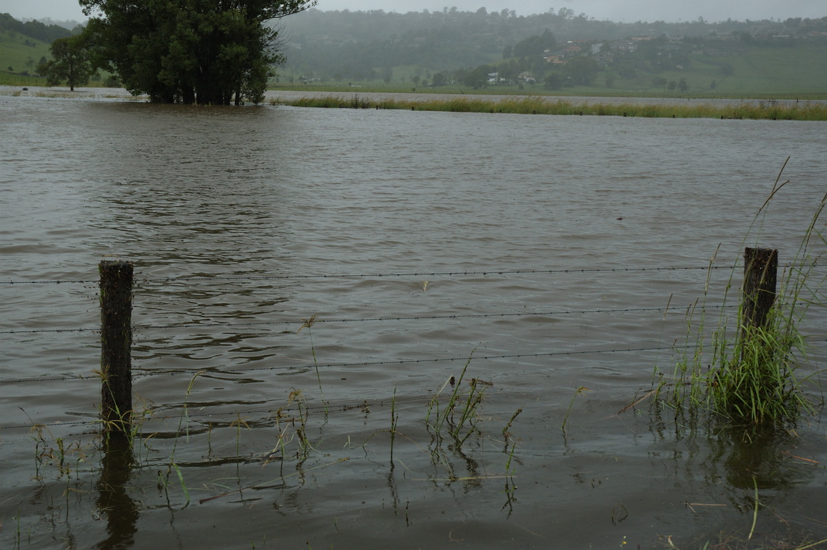 flashflooding flood_pictures : near Lismore, NSW   4 January 2008