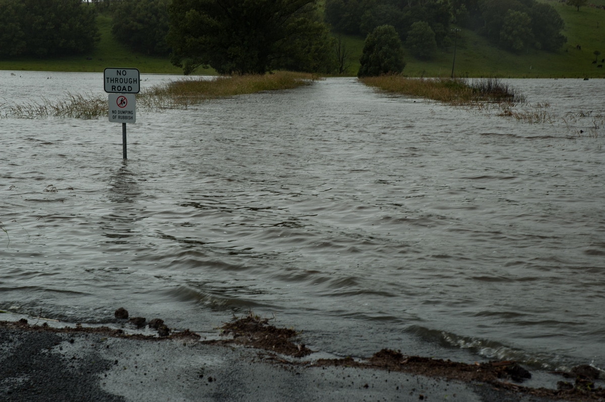 flashflooding flood_pictures : near Lismore, NSW   4 January 2008