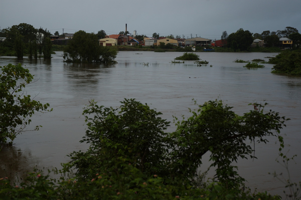 flashflooding flood_pictures : Lismore, NSW   4 January 2008