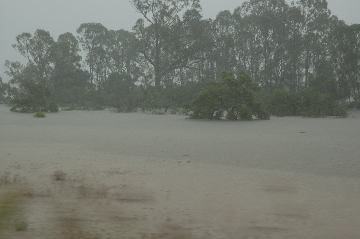 precipitation precipitation_rain : Clovass, NSW   5 January 2008