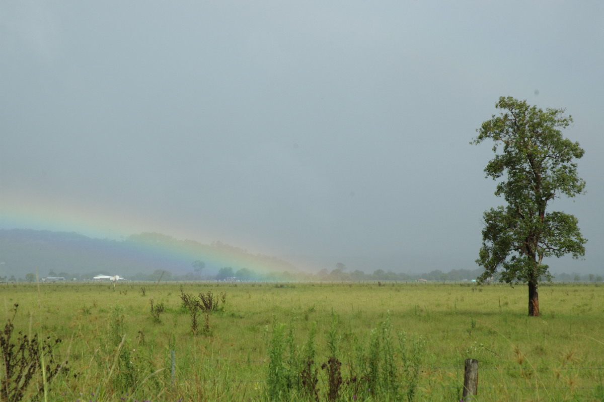 rainbow rainbow_pictures : Leycester, NSW   5 January 2008