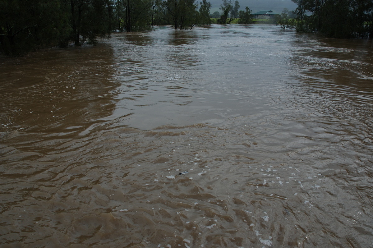 flashflooding flood_pictures : Leycester, NSW   5 January 2008