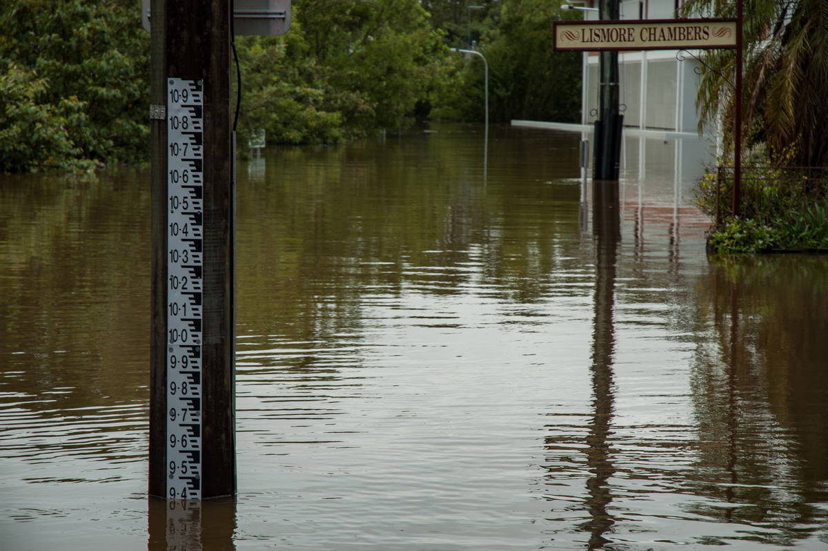 flashflooding flood_pictures : Lismore, NSW   5 January 2008