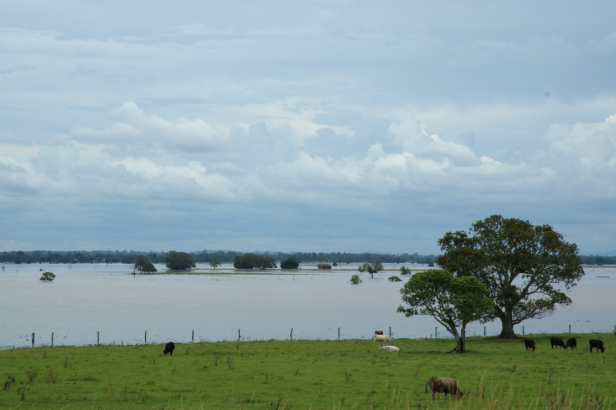 flashflooding flood_pictures : McKees Hill, NSW   6 January 2008