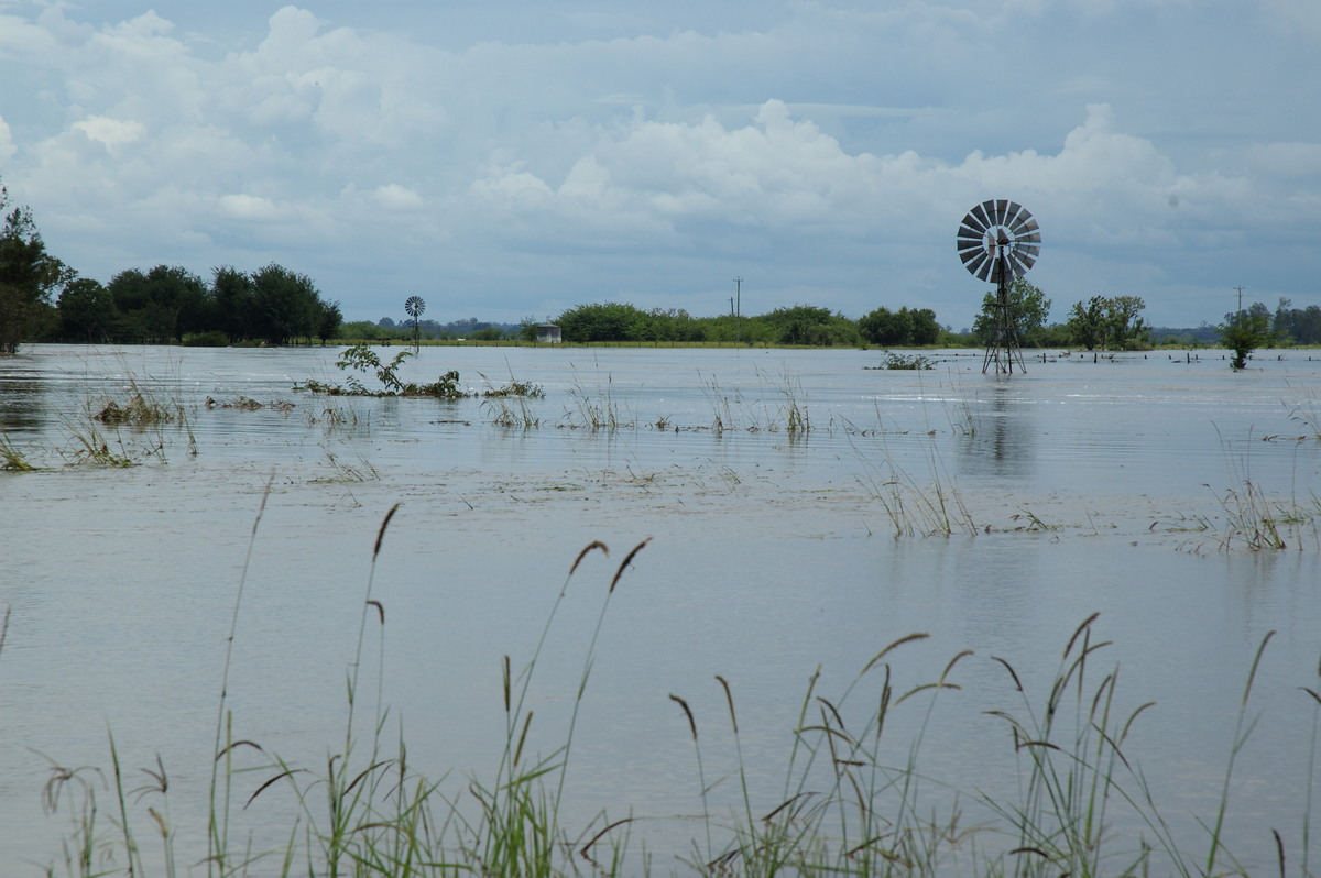 flashflooding flood_pictures : McKees Hill, NSW   6 January 2008