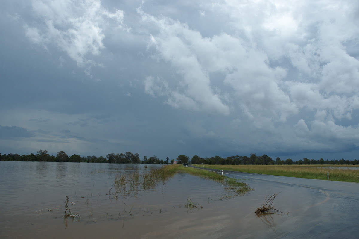 cumulonimbus thunderstorm_base : McKees Hill, NSW   6 January 2008