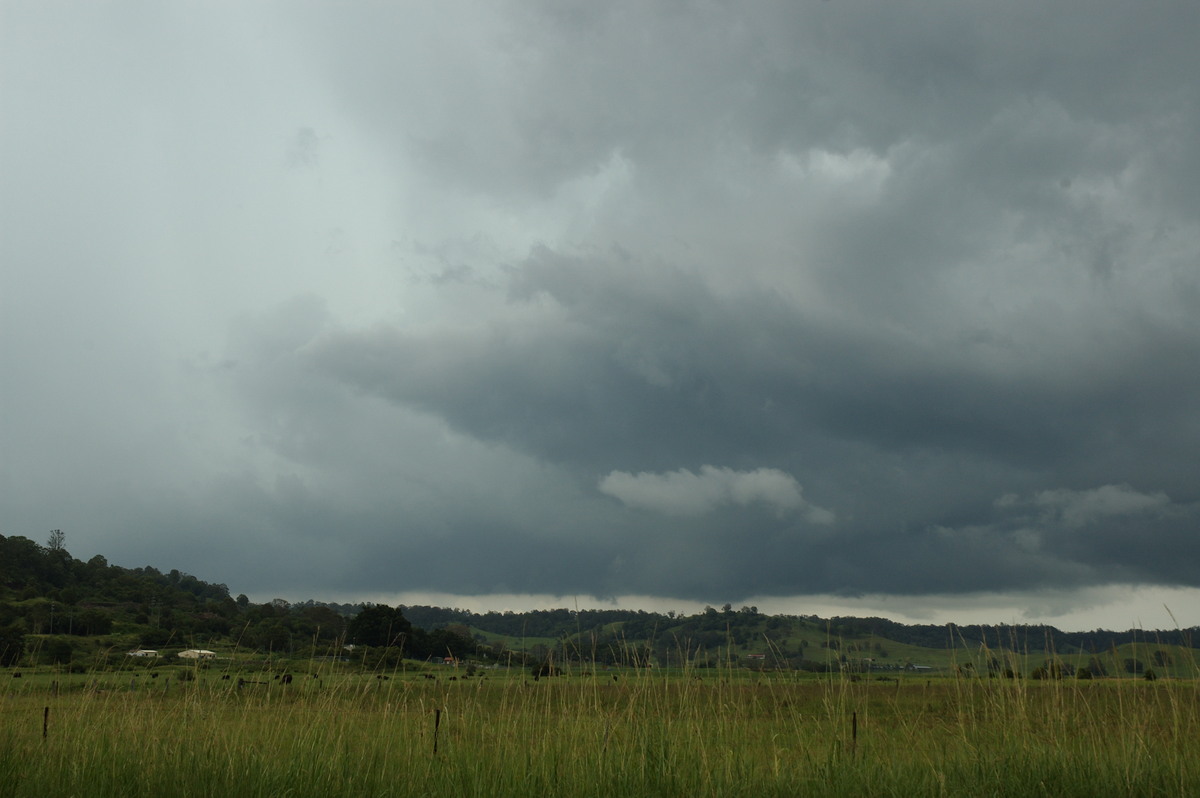 cumulonimbus thunderstorm_base : South Lismore, NSW   6 January 2008