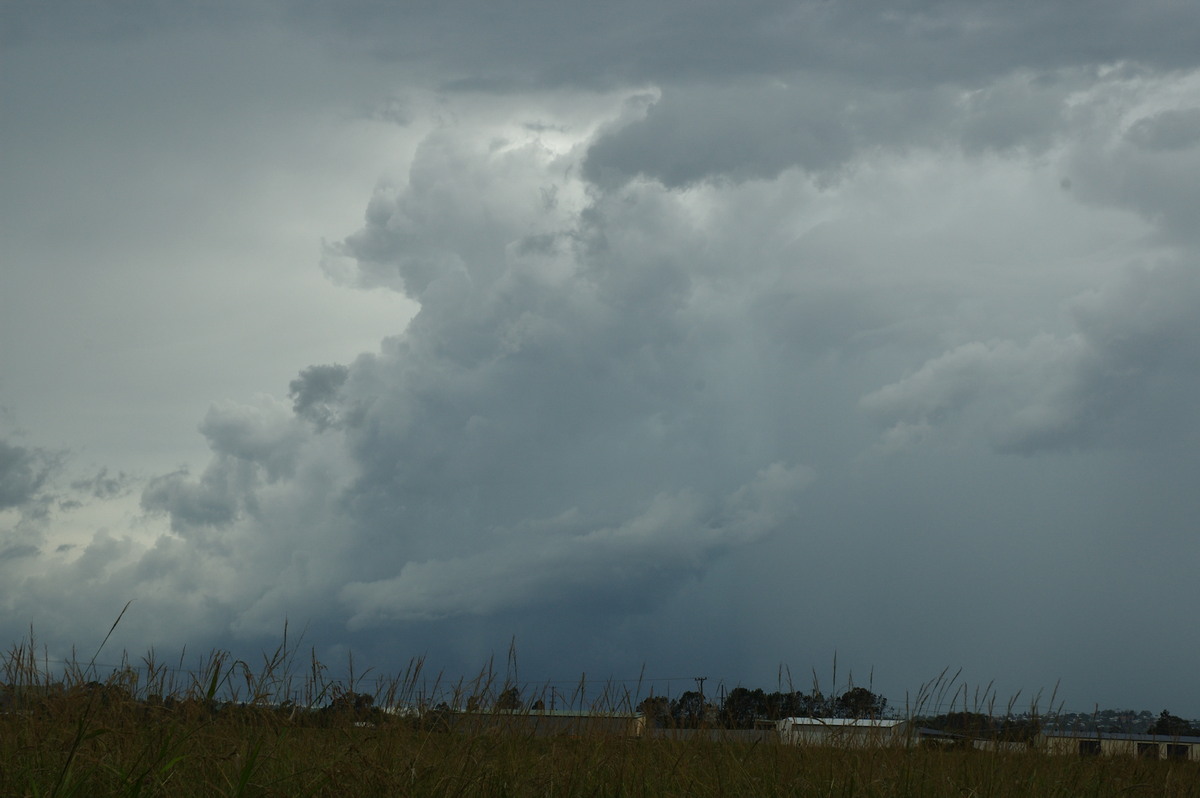 updraft thunderstorm_updrafts : South Lismore, NSW   6 January 2008