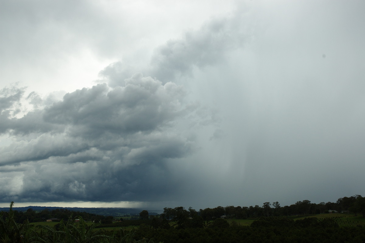 raincascade precipitation_cascade : Lismore, NSW   6 January 2008