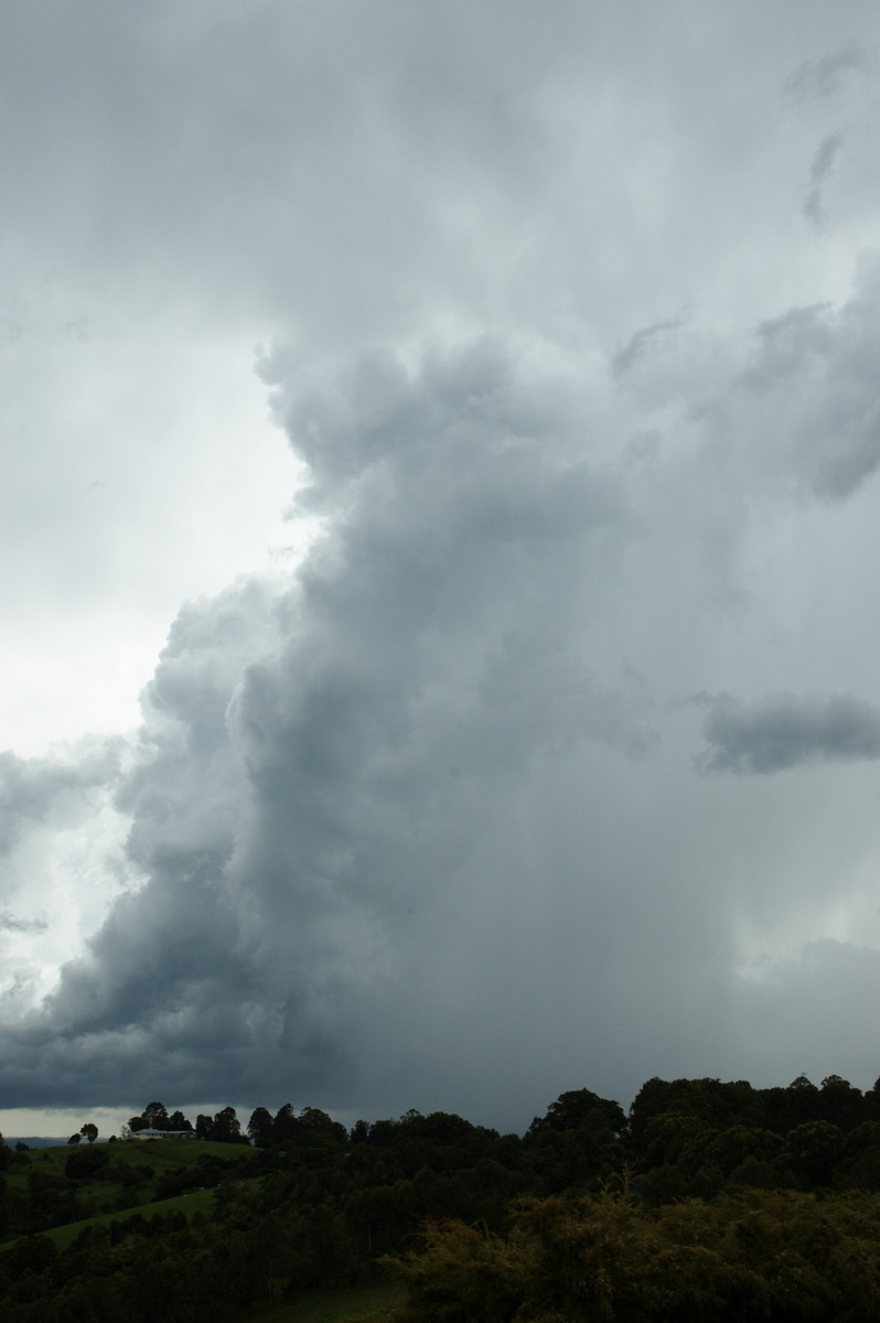 updraft thunderstorm_updrafts : Lismore, NSW   6 January 2008