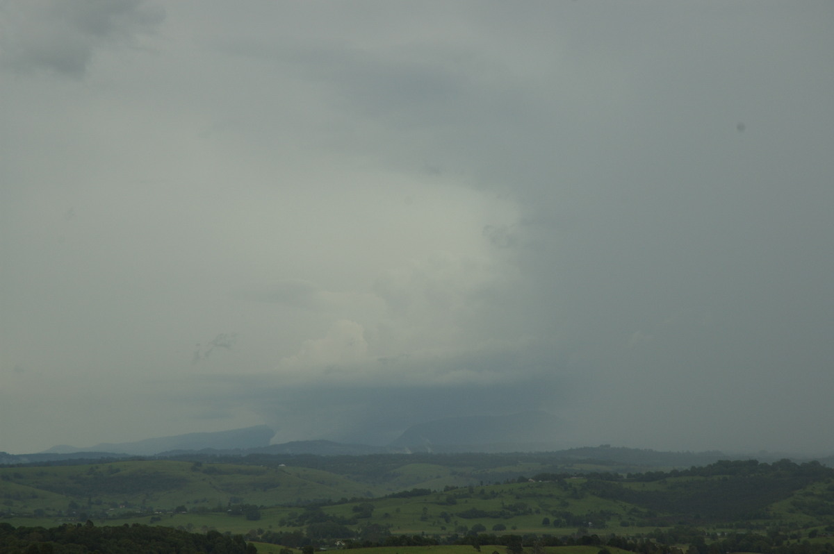 cumulonimbus thunderstorm_base : McLeans Ridges, NSW   6 January 2008