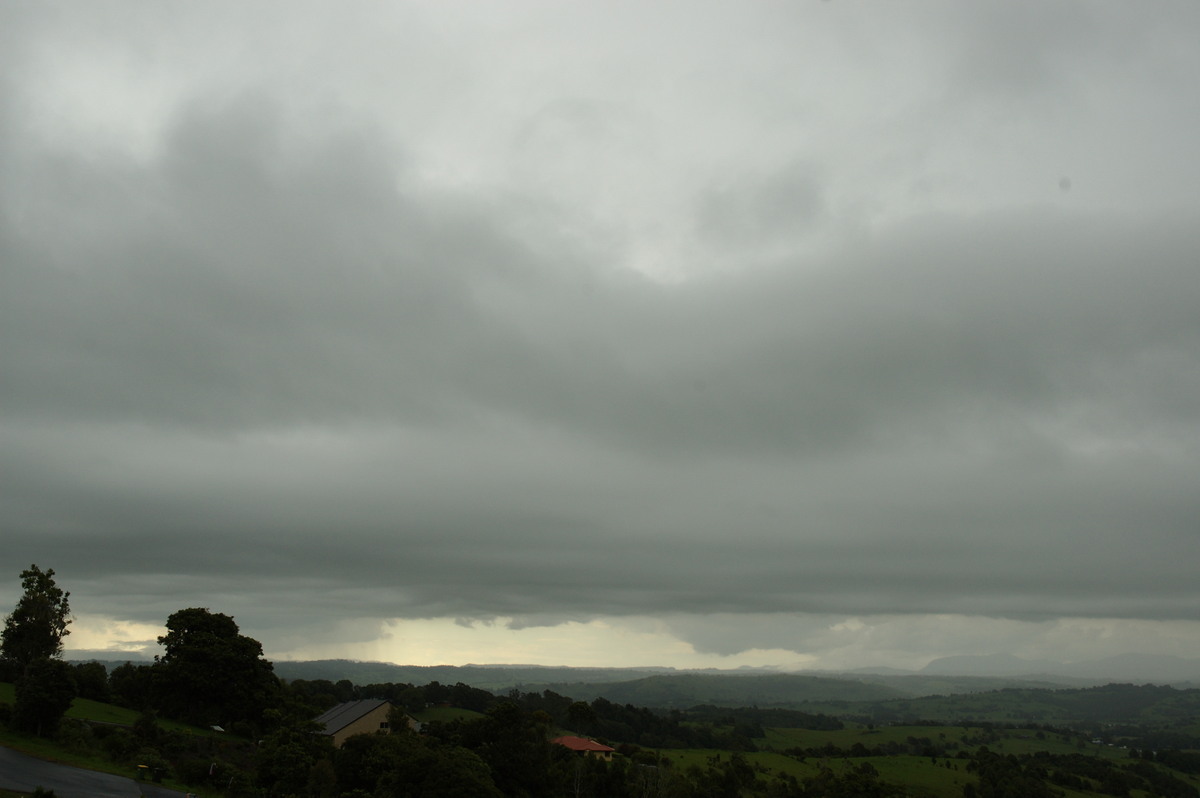 stratus stratus_cloud : McLeans Ridges, NSW   6 January 2008