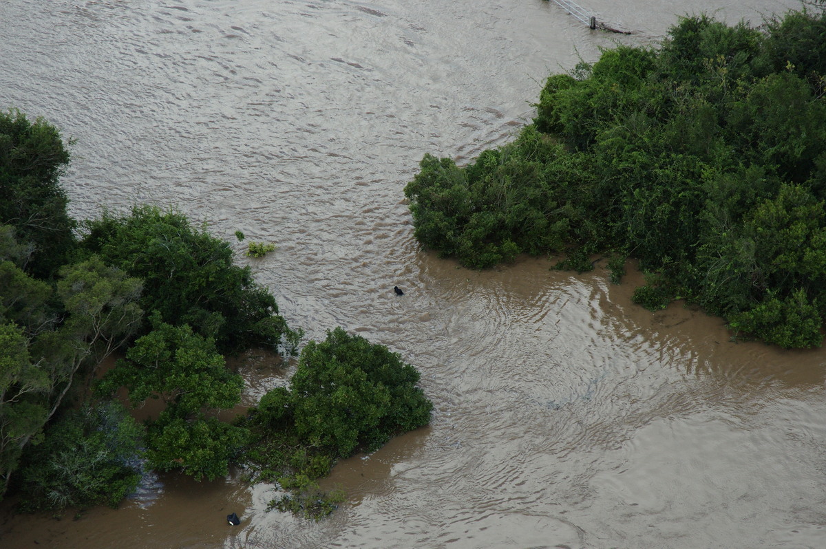 flashflooding flood_pictures : Coraki area, NSW   7 January 2008