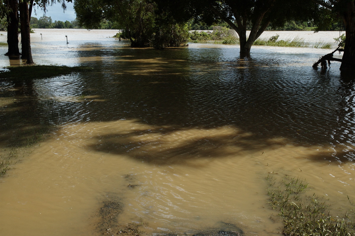 flashflooding flood_pictures : Coraki, NSW   8 January 2008