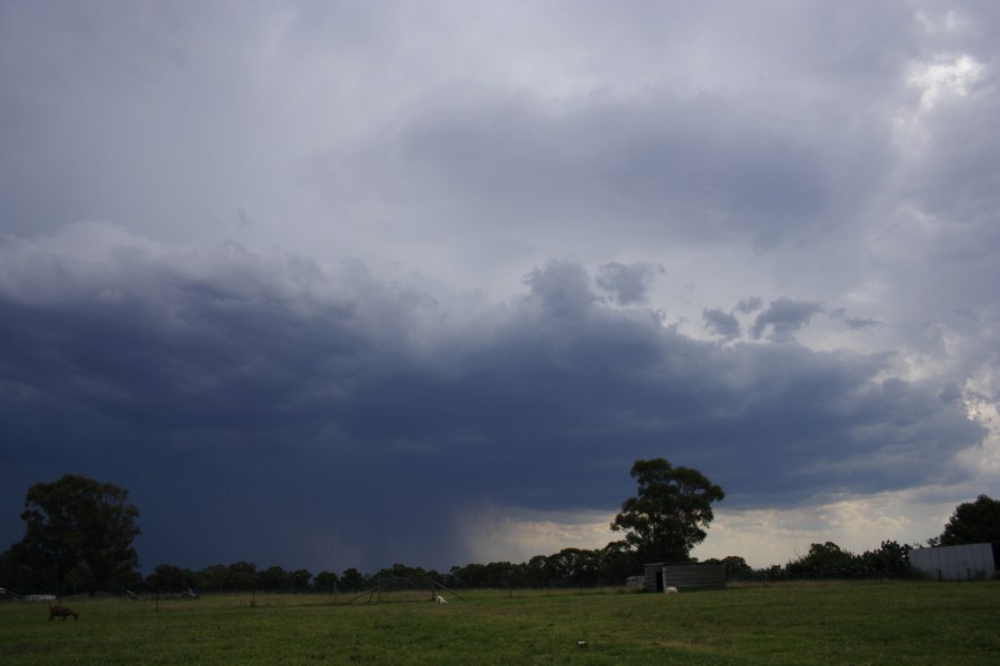 cumulonimbus thunderstorm_base : Schofields, NSW   13 January 2008