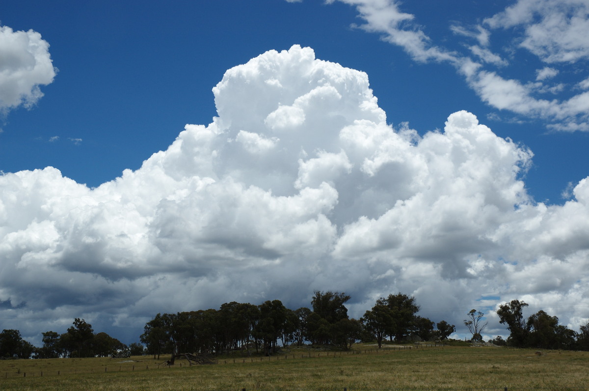 thunderstorm cumulonimbus_calvus : S of Tenterfield, NSW   27 January 2008