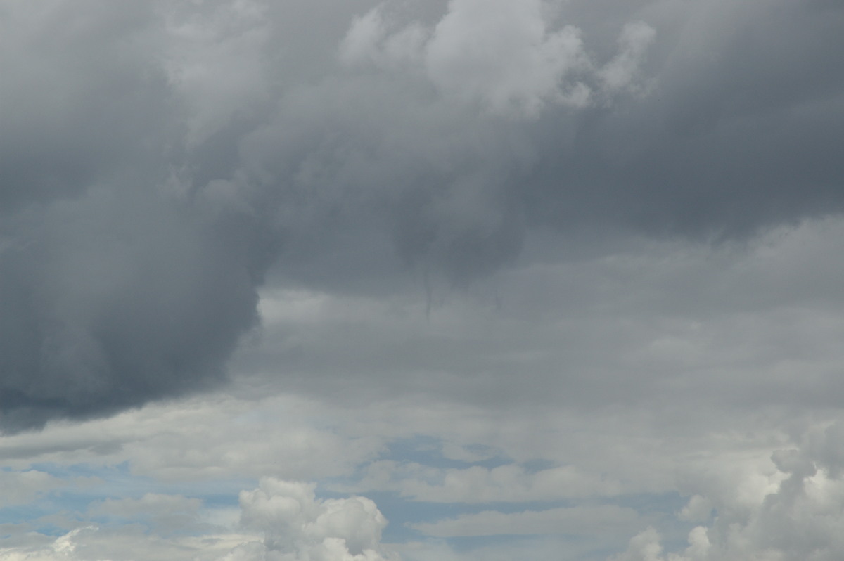 tornadoes funnel_tornado_waterspout : Deepwater, NSW   27 January 2008