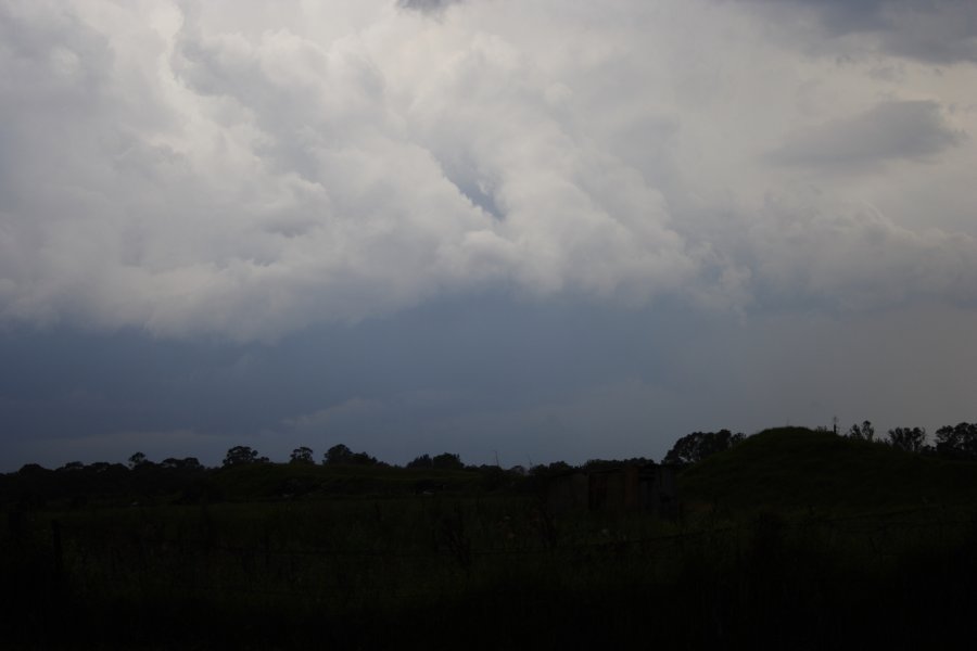 cumulonimbus thunderstorm_base : Schofields, NSW   31 January 2008