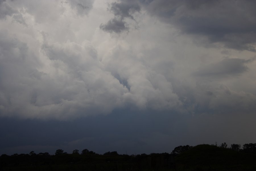 cumulonimbus thunderstorm_base : Schofields, NSW   31 January 2008