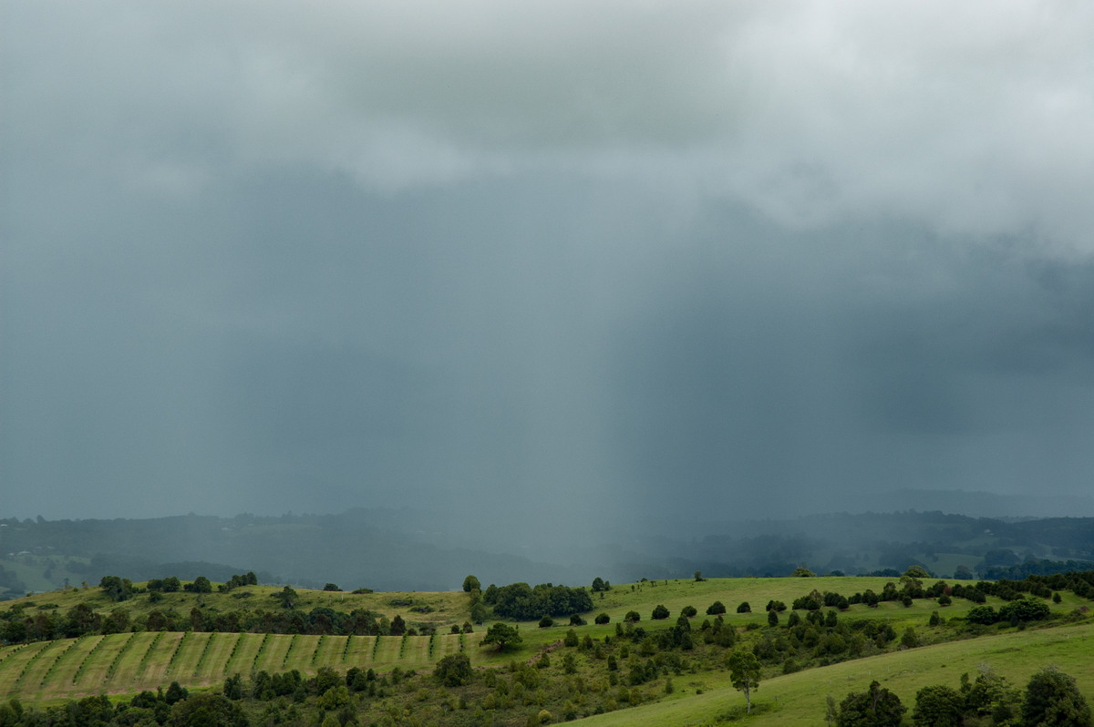 raincascade precipitation_cascade : McLeans Ridges, NSW   3 February 2008