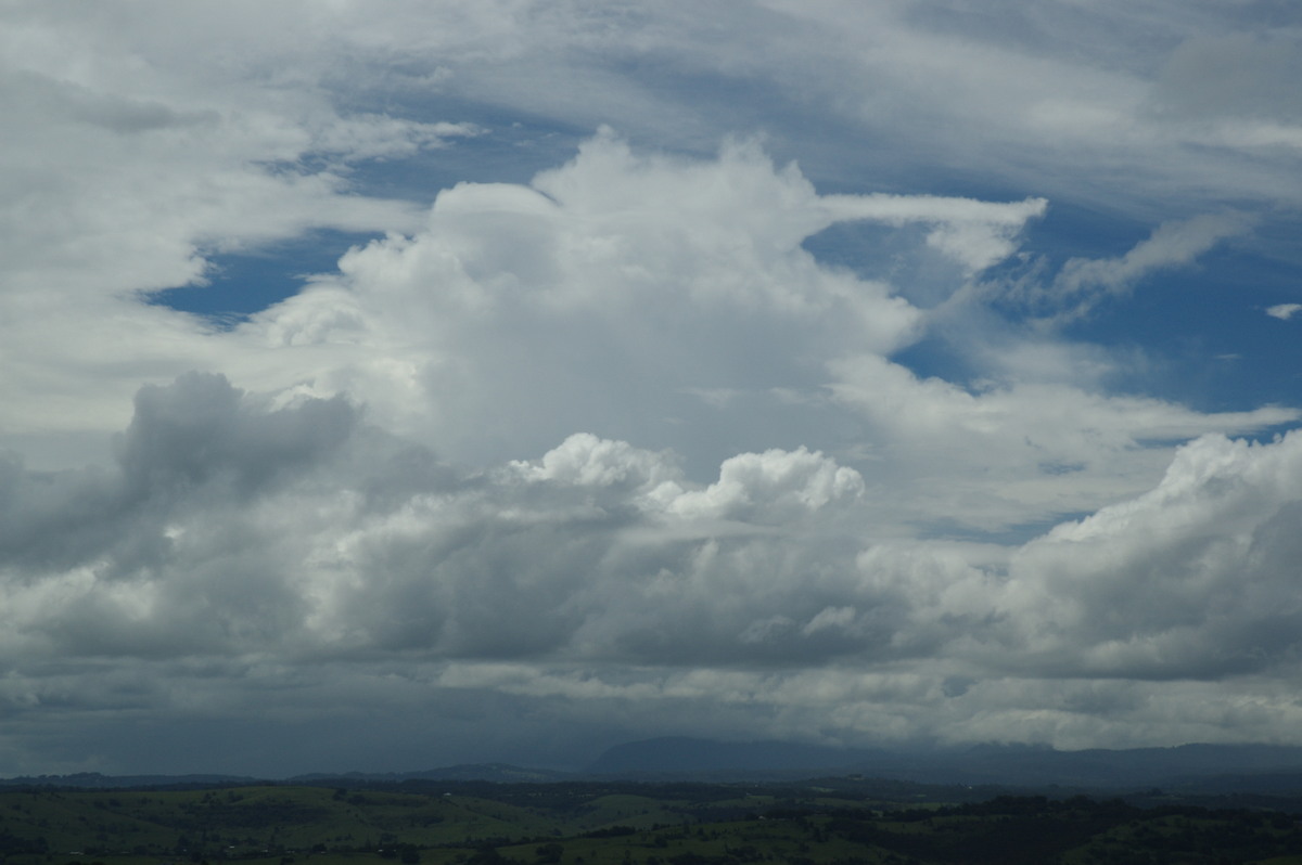 thunderstorm cumulonimbus_calvus : McLeans Ridges, NSW   5 February 2008