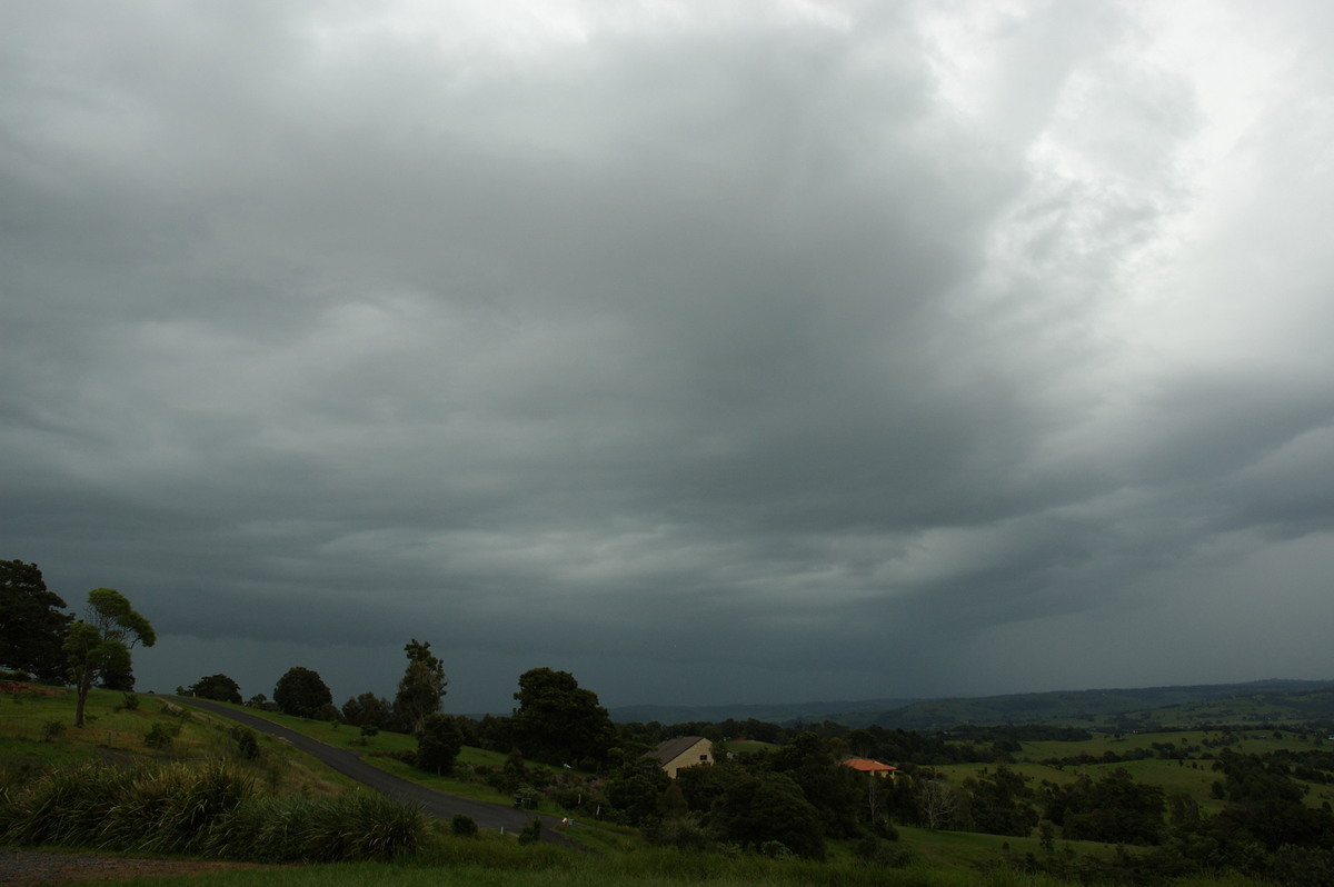 cumulonimbus thunderstorm_base : McLeans Ridges, NSW   6 February 2008