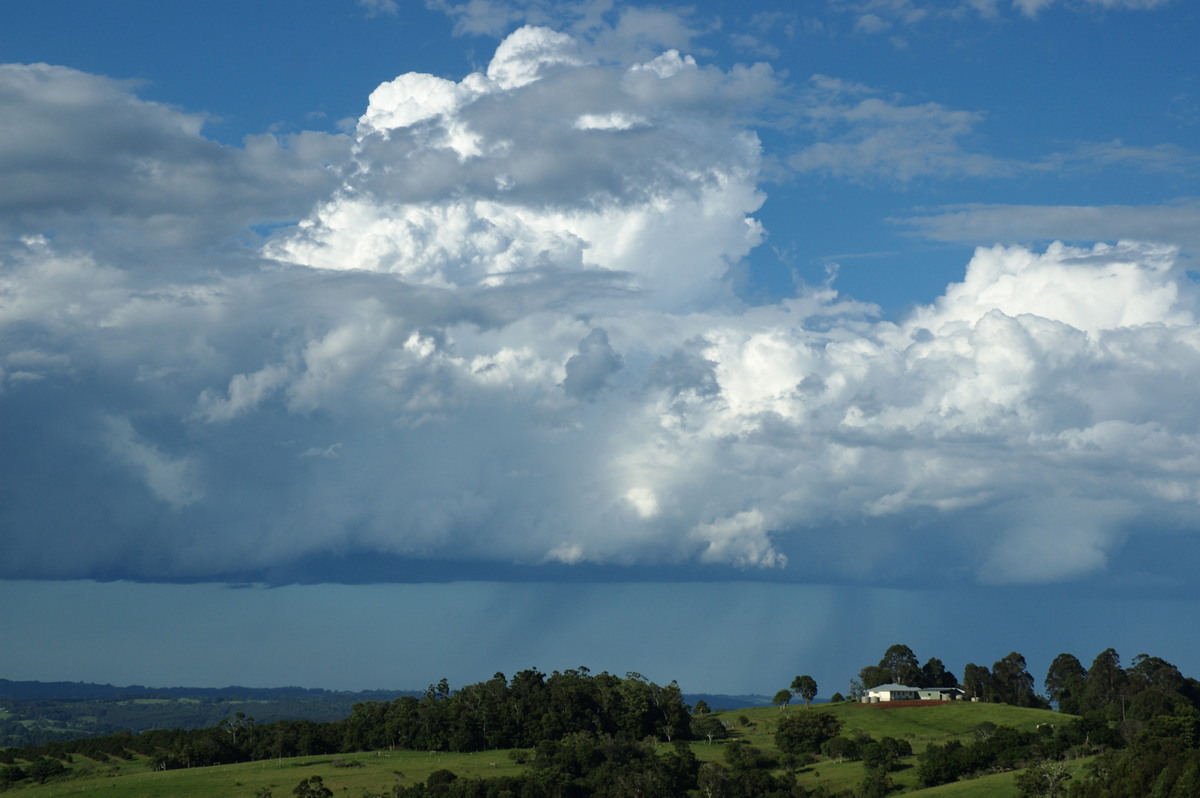 thunderstorm cumulonimbus_calvus : McLeans Ridges, NSW   7 February 2008