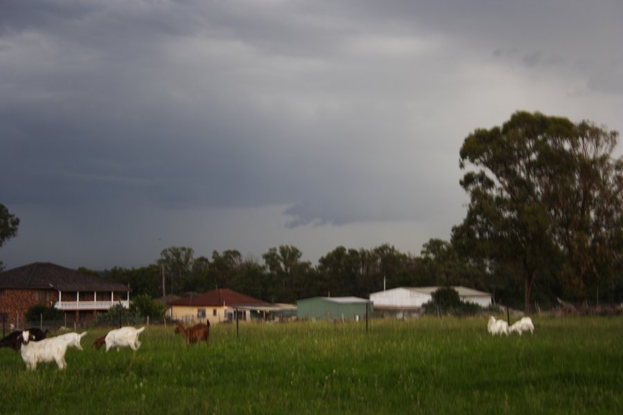 cumulonimbus thunderstorm_base : Schofields, NSW   27 February 2008