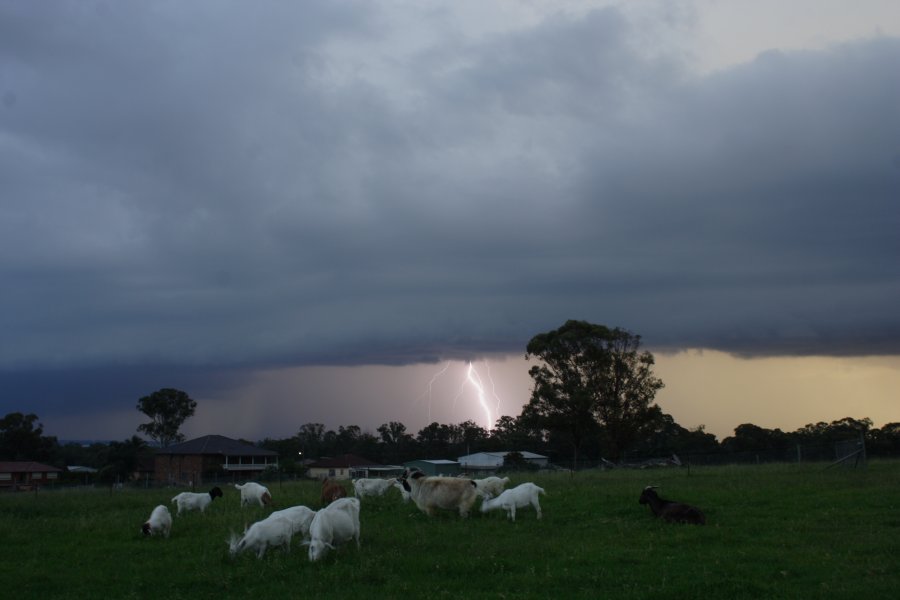 lightning lightning_bolts : Schofields, NSW   24 March 2008