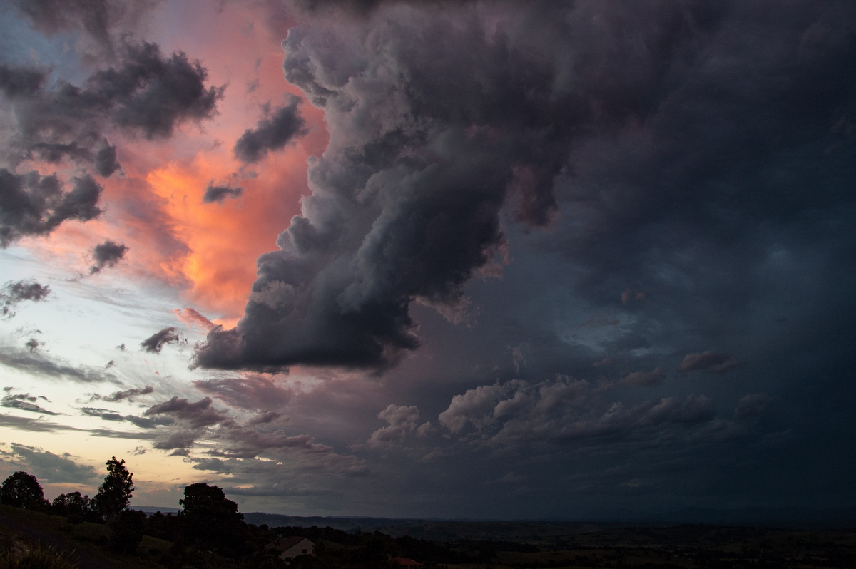 sunset sunset_pictures : McLeans Ridges, NSW   26 March 2008