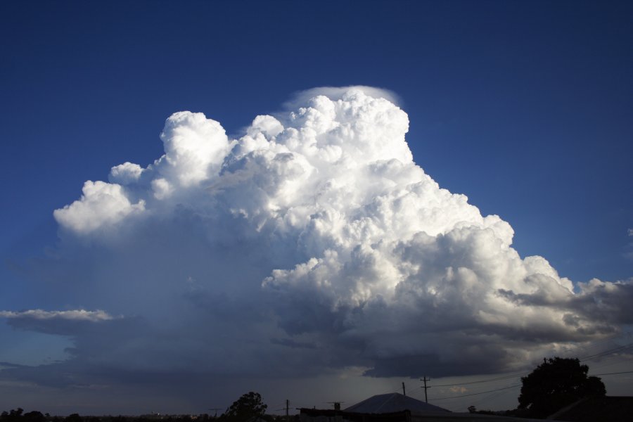 thunderstorm cumulonimbus_calvus : Schofields, NSW   29 March 2008