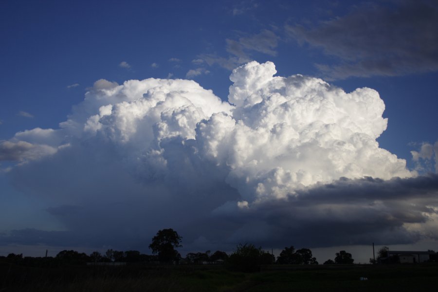thunderstorm cumulonimbus_calvus : Schofields, NSW   29 March 2008