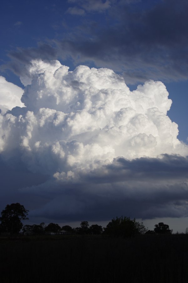 thunderstorm cumulonimbus_calvus : Schofields, NSW   29 March 2008