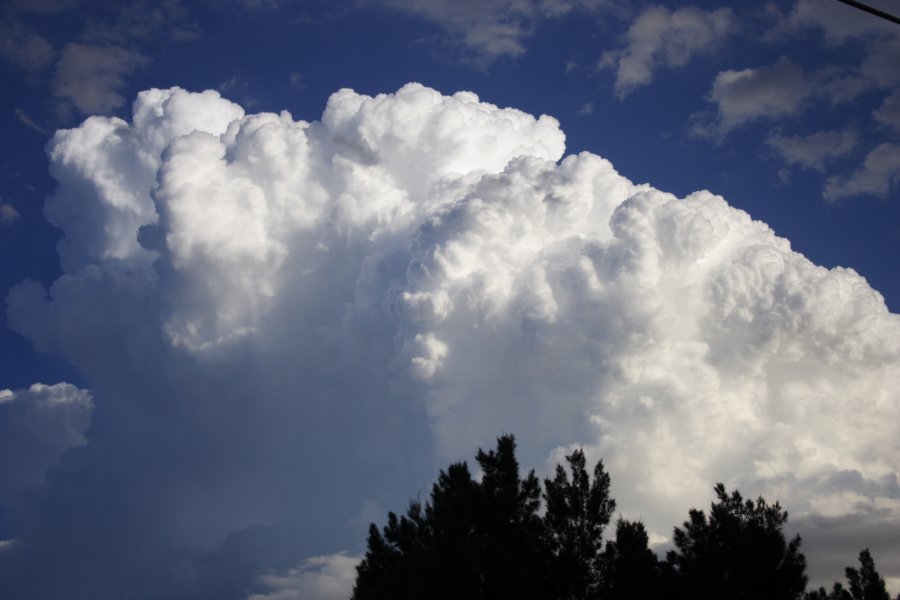 thunderstorm cumulonimbus_calvus : Kellyville, NSW   29 March 2008