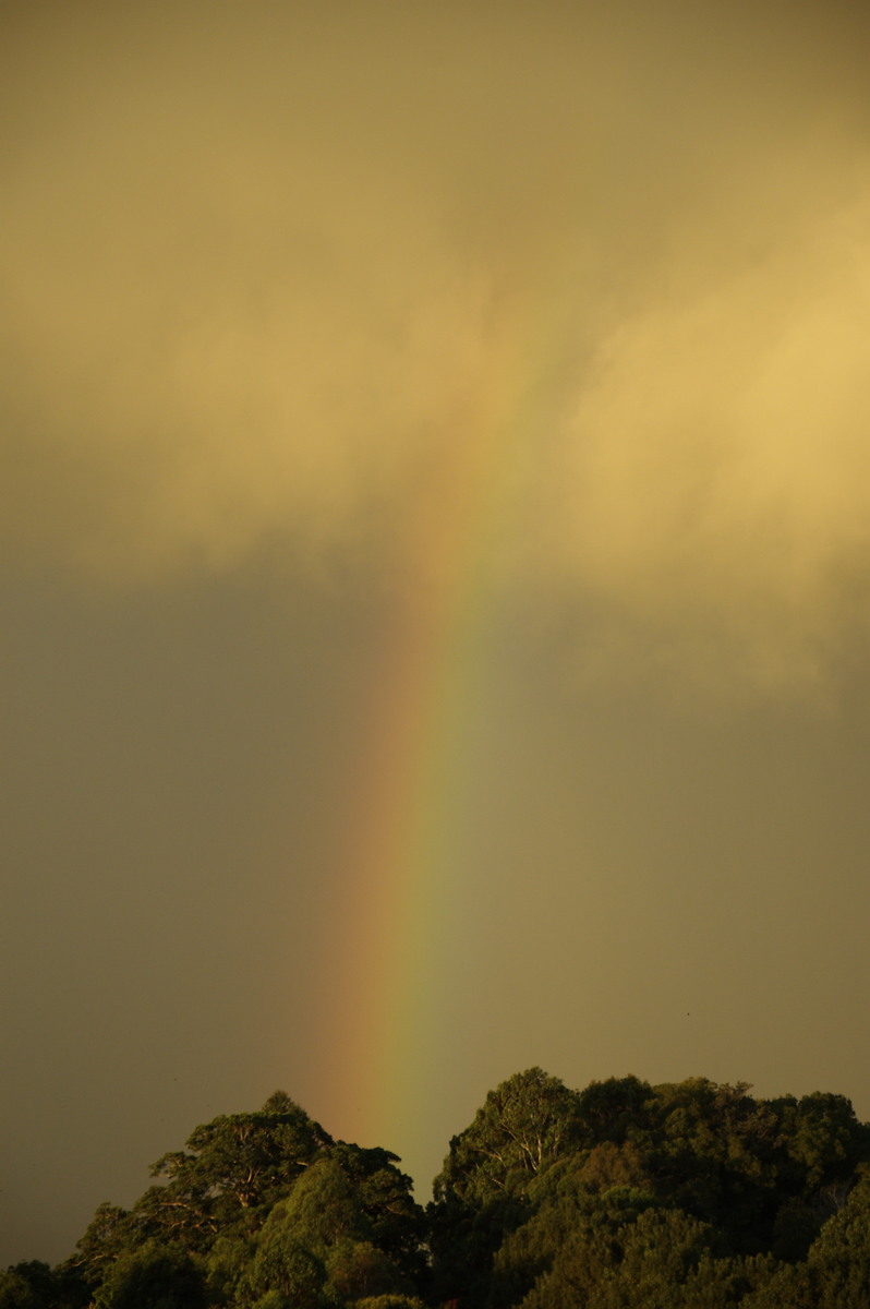 rainbow rainbow_pictures : McLeans Ridges, NSW   6 April 2008