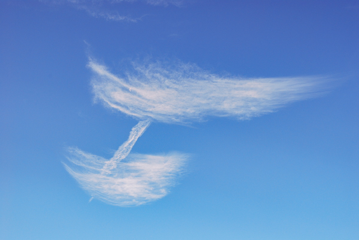 cirrus cirrus_cloud : McLeans Ridges, NSW   12 April 2008