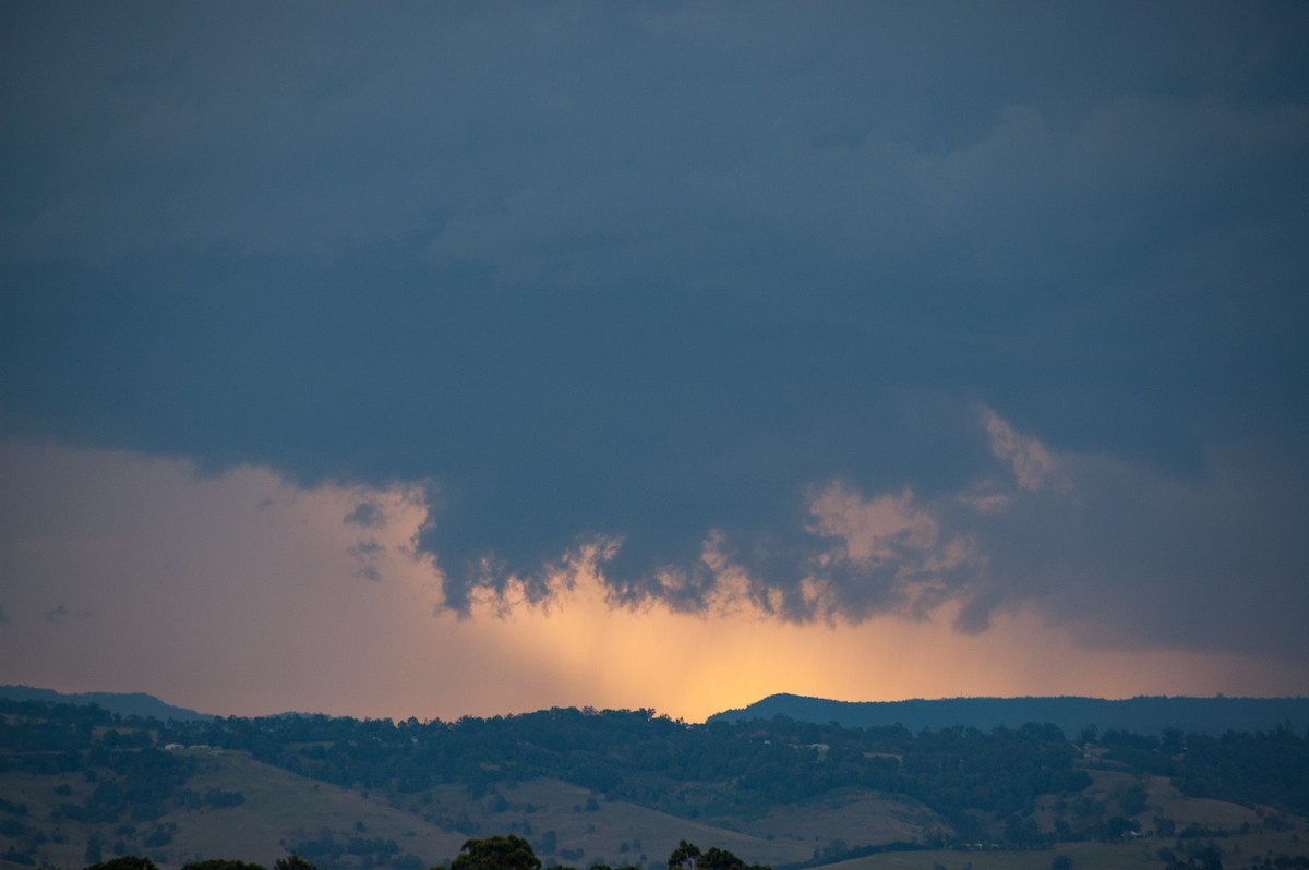 favourites michael_bath : McLeans Ridges, NSW   17 May 2008