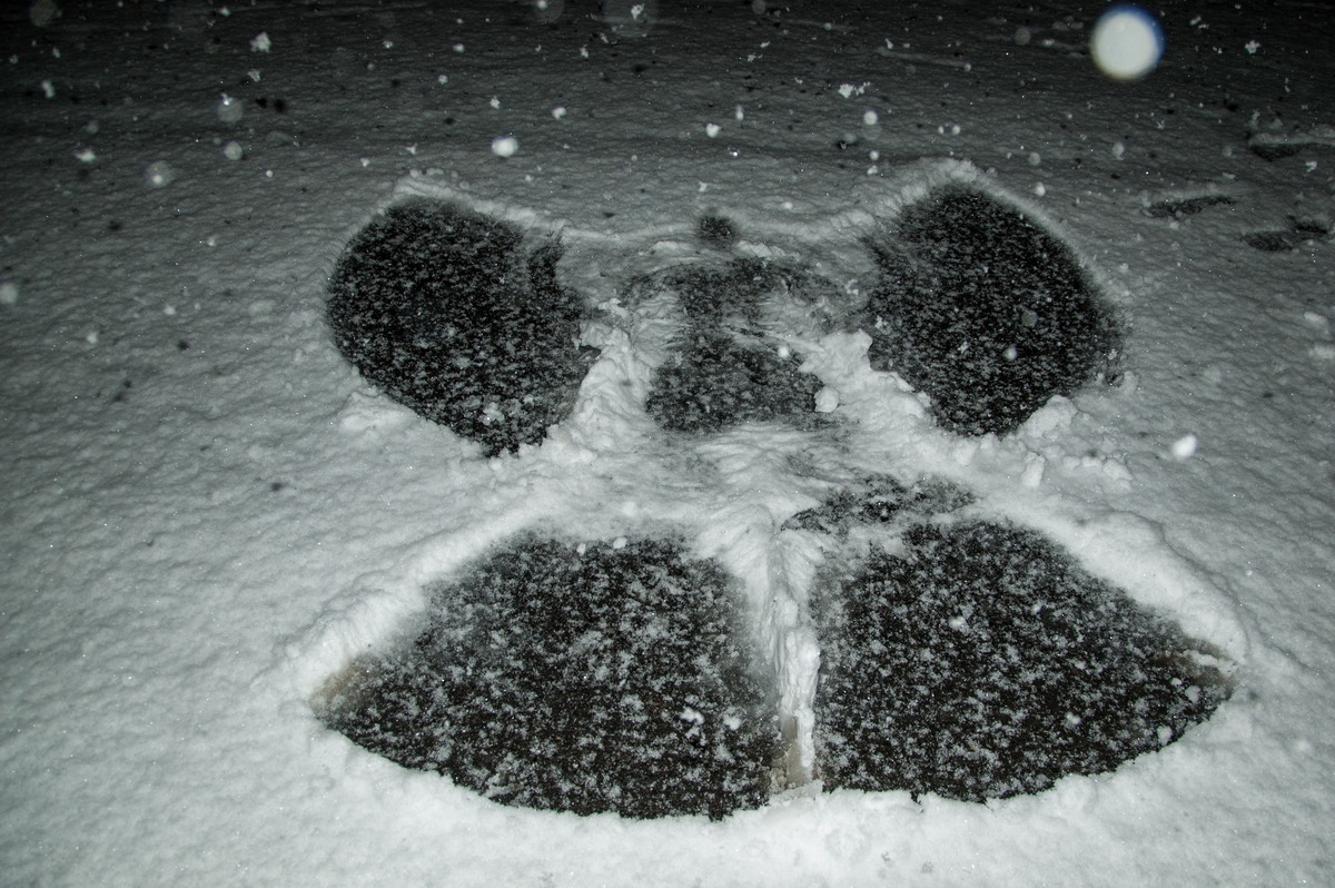 snow snow_pictures : Ben Lomond, NSW   17 May 2008