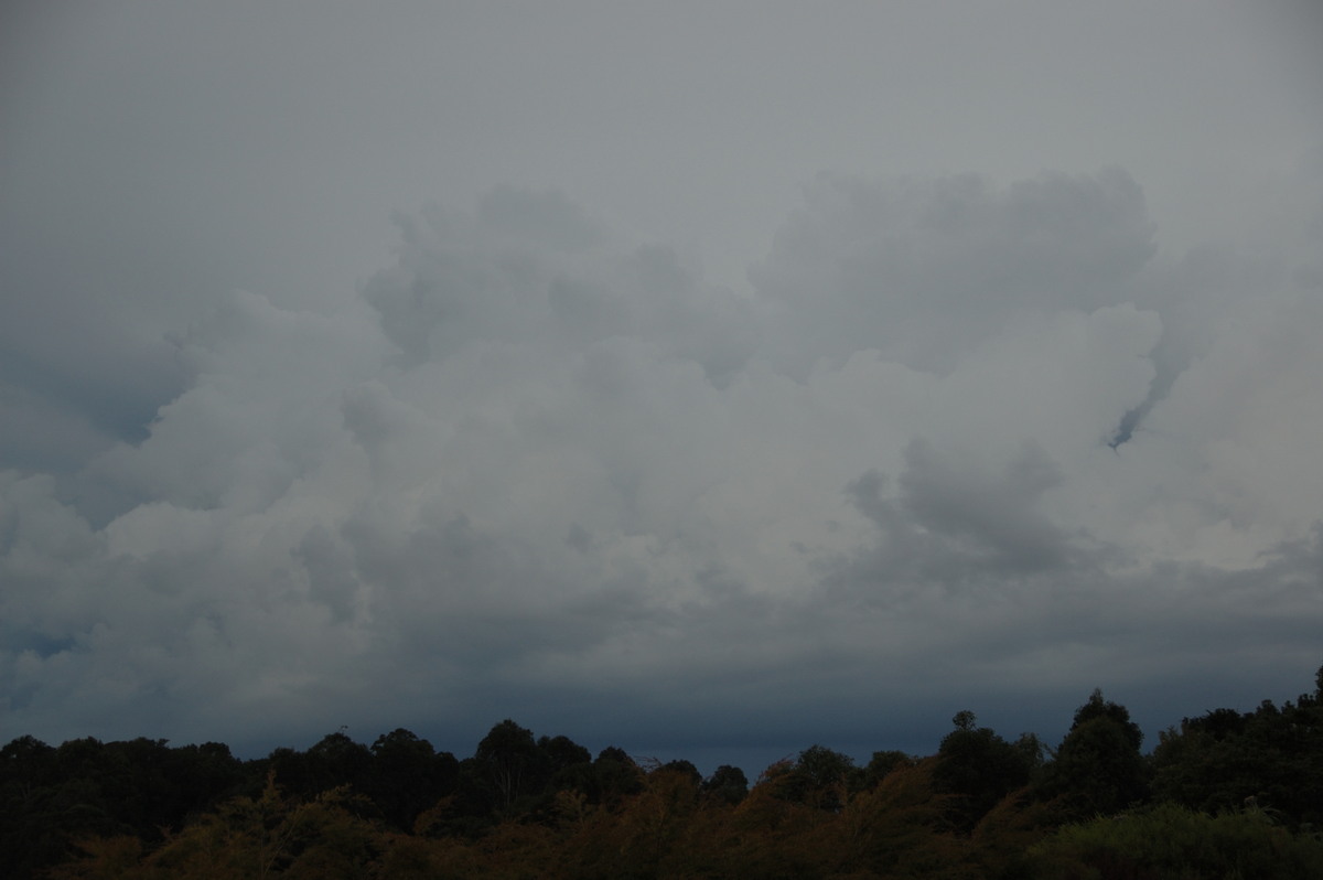 thunderstorm cumulonimbus_calvus : McLeans Ridges, NSW   28 May 2008