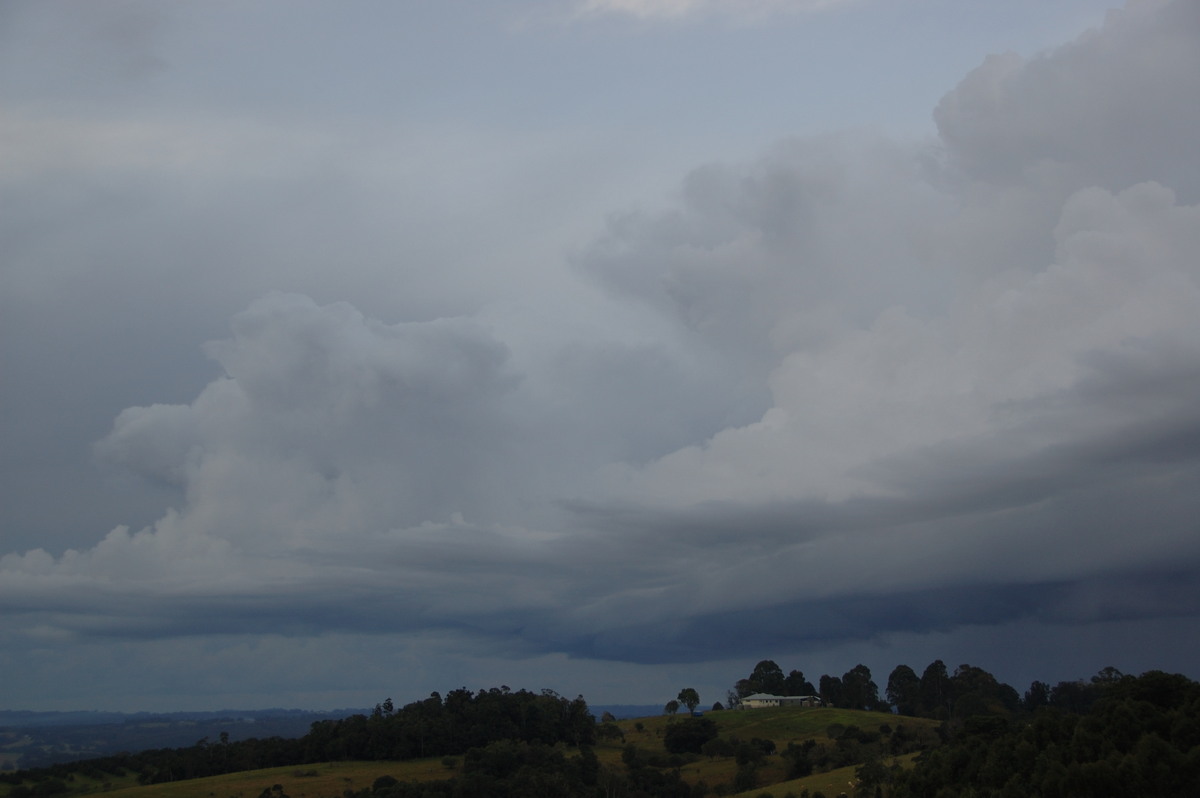 cumulus congestus : McLeans Ridges, NSW   28 May 2008