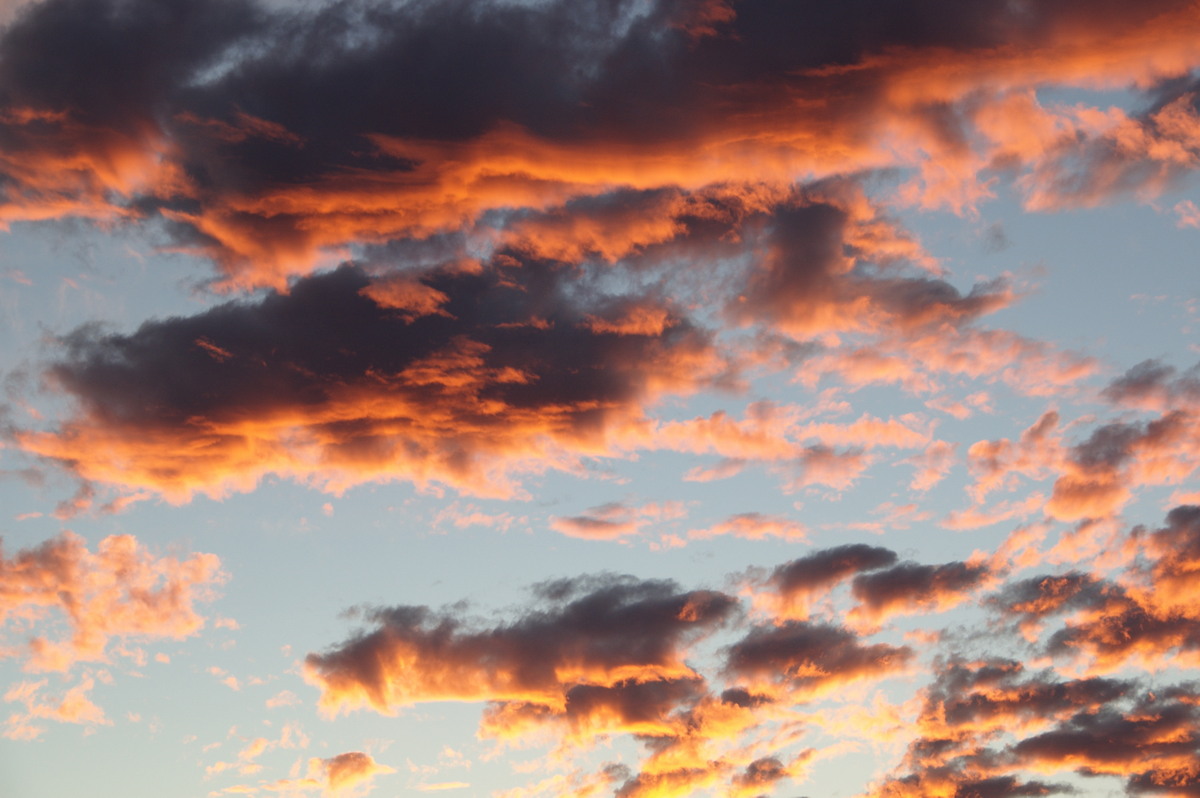 sunset sunset_pictures : McLeans Ridges, NSW   12 June 2008