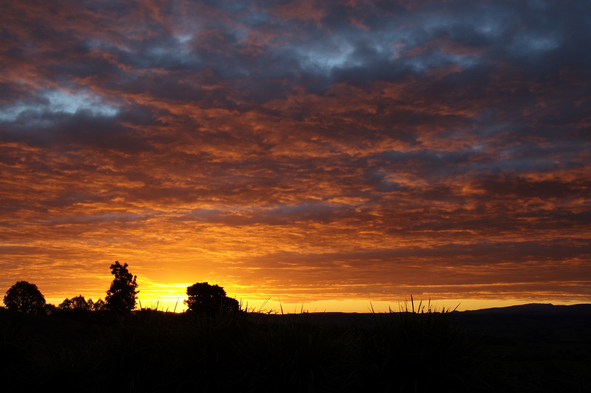 sunset sunset_pictures : McLeans Ridges, NSW   15 June 2008