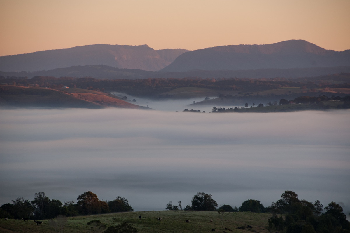 sunrise sunrise_pictures : McLeans Ridges, NSW   26 June 2008