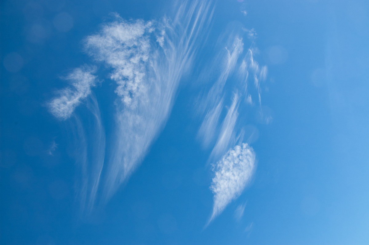 cirrus cirrus_cloud : McLeans Ridges, NSW   20 July 2008