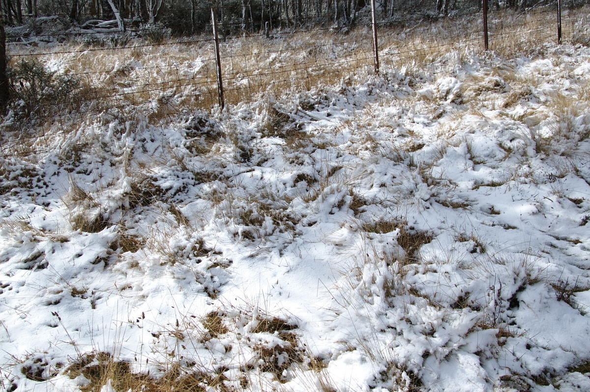 snow snow_pictures : Ben Lomond, NSW   28 July 2008